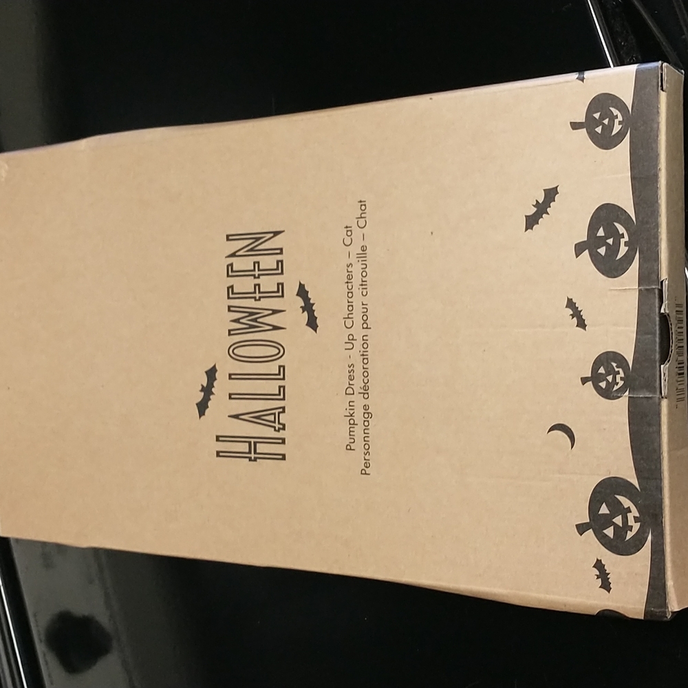 NIB Pumpkin Dress Up Kit, Cat
